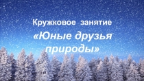 Презентация к кружковому занятию Юные друзья природы