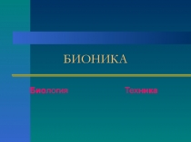 Презентация по биологии Бионика