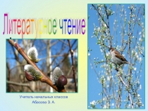Презентация по литературному чтению на тему Соловьи