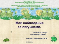 Презентация ученицы Наблюдения о лягушках