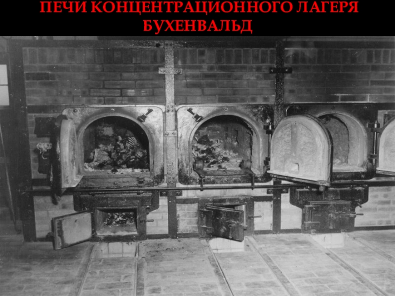 Доклад: Crematory