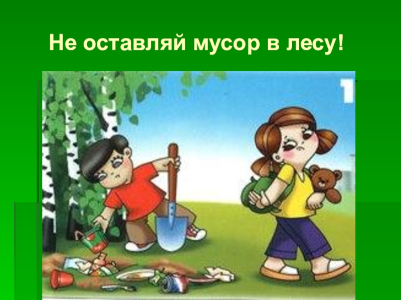 Картинки не мусорить на природе