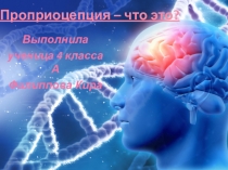 Презентация к исследовательской работе Проприоцепция - что это?