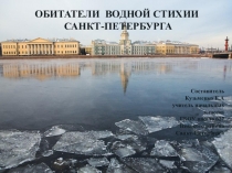 Презентация внеурочного занятия Водные обитатели Санкт-Петербурга (для обучающихся с умственной отсталостью и нарушением опорно-двигательного аппарата)