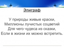 Урок по биологии Класс Земноводные или амфибии ( 7 класс)