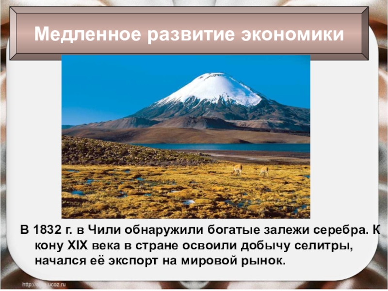 Презентация по истории 8 класс латинская америка в 19 веке время перемен