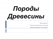 Презентация по технологии Породы деревьев