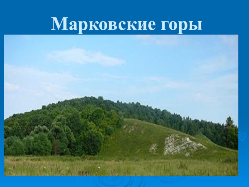 Брянские горы. Марковская гора Брянская область. Марковские горы Погарский район. Марковские горы Погарский район Брянская область. Заповедник Марковские горы.