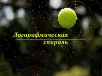 Логарифмическая спираль
