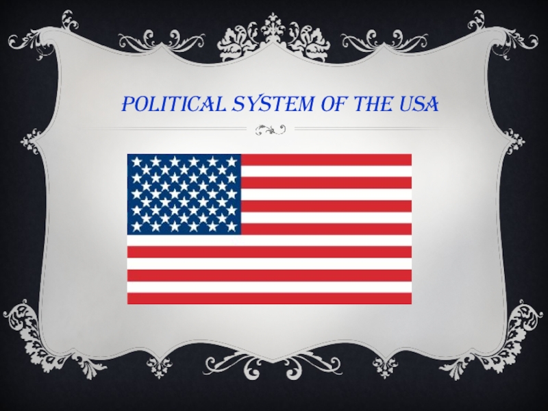 Us political system