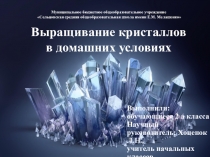 Презентация проекта Выращивание кристаллов в домашних условиях