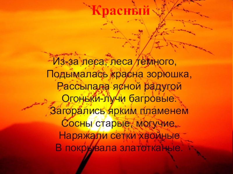 Гаснет багряный луч солнца. Из-за леса леса темного подымалась красна зорюшка. Стих из за леса леса темного. Из-за леса леса темного подымалась. Огоньки лучи Багровые.