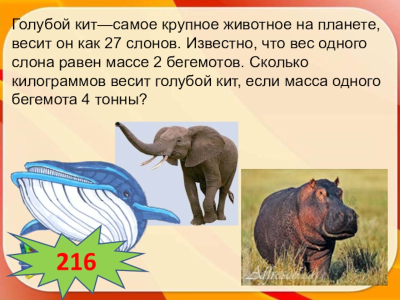 Слон сколько кг. Сколько весит слон. Вес одного слона. Сколько весит слон в тоннах. Вес крупных животных.