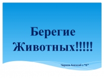 Презентация проекта Берегите животных ученика 2 б класса Чернова Алексея