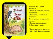 Презентация Тамыр аймақтары биология 6 сынып