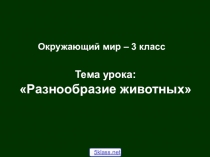 Презентация по окружающему миру Разнообразие животных.