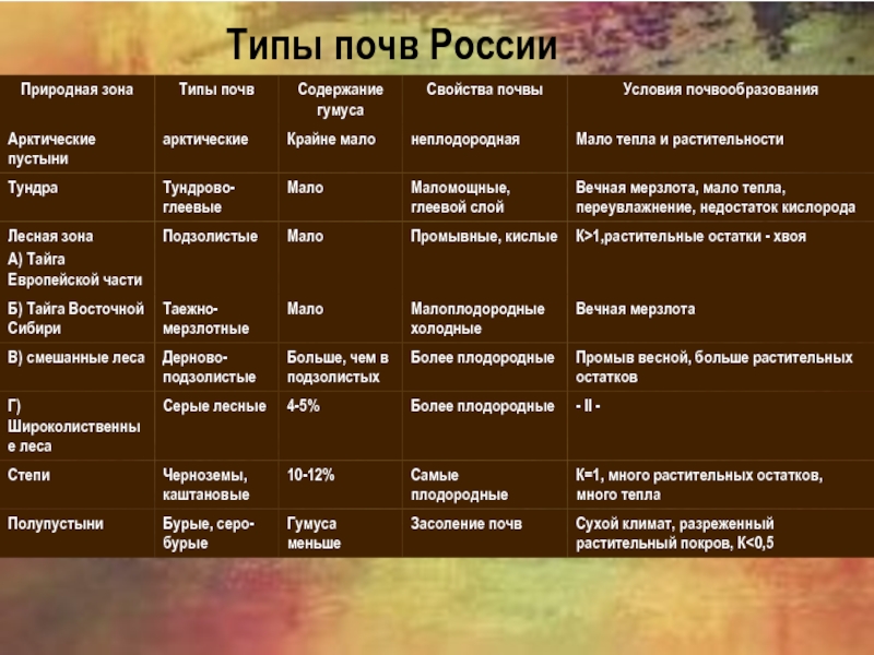Почвы региона. Типы почв России таблица 8 класс география.