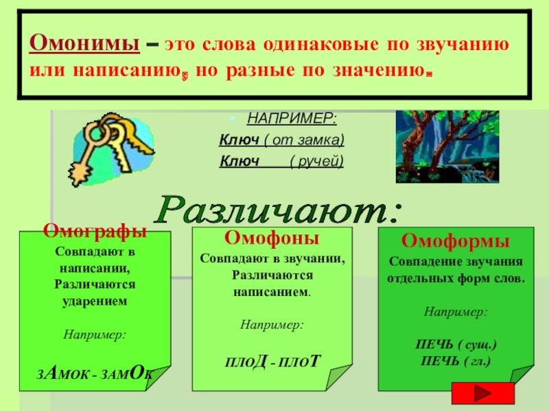 Омонимы 5 класс презентация