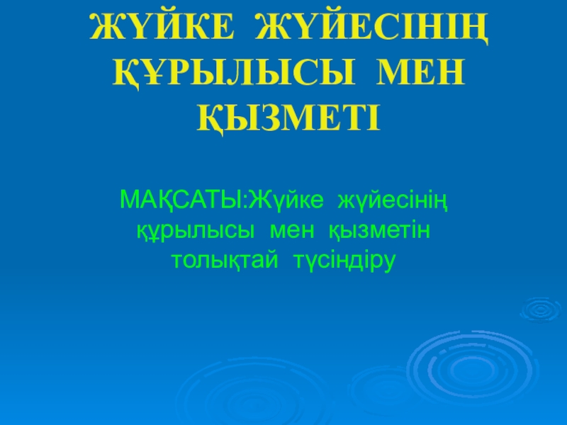 Жүйке жүйесінің құрылысы мен қызметі Строение нервной системы