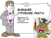 Презентация Внешнее строение листа