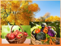 Презентация по алгебре Произведение одночленов