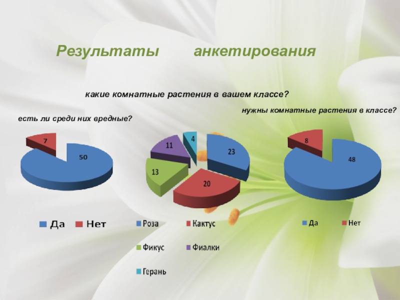 Презентация по результатам анкетирования