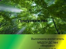 Презентация Путешествие в лес
