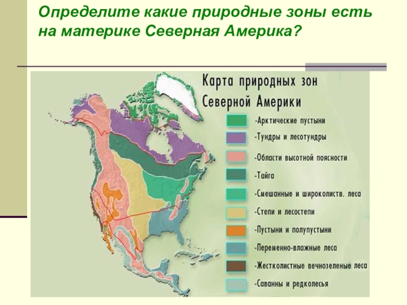 Северная америка по плану