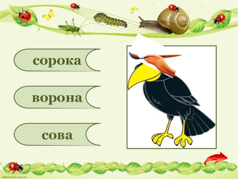 Пятью восемь сорок. Сорока-ворона на палочке схема. Сорока ворона Сова как кричать голос написать. Кто как подает голос сорока-ворона Сова.