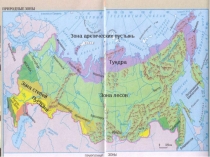 Презентация к уроку окружающего мира по теме Пустыни