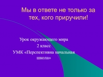 Мы в ответе не только за тех, кого приручили.