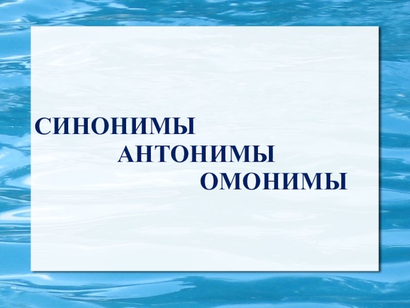 Синонимы антонимы омонимы 5 класс. Синонимы антонимы омонимы. Синонимы и антонимы. Антонимы синонимы антонимы. Синонимы антонимы омонимы 2 класс.