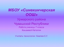 Проект Размножение черной смородины. Закладка мини-питомника