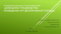 Презентация Исследовательская работа по окружающему миру Домашние животные
