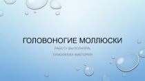 Презентация к уроку по теме: Головоногие моллюскивыполнила ученица 7А класса