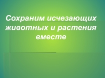 Презентация по окружающему миру