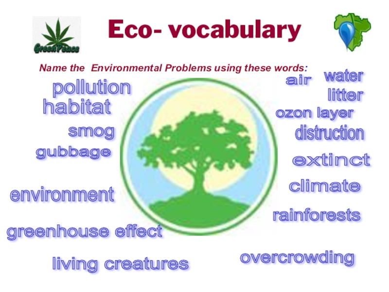 Ecology vocabulary. Вокабуляр по теме Environmental problems. Урок по теме Environmental problems. Предложения на тему Environmental problems. Environmental problems таблица.
