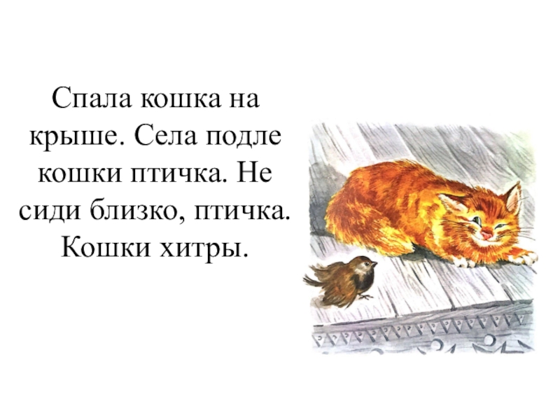 Распечатать текст на крыше. Спала кошка на крыше л.толстой. Л Н толстой спала кошка на крыше рассказ. Л. Н. Толстого «спала кошка на крыше». Иллюстрации к рассказу Толстого спала кошка на крыше.