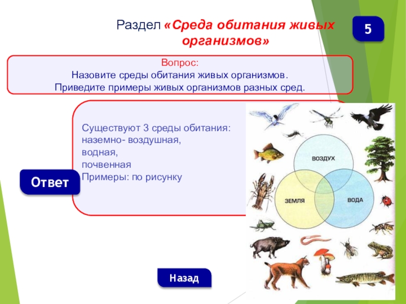 Среда обитания план