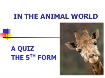 Презентация по английскому языку на темуIn the Animal World (5 кл)