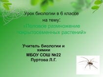 Урок биологии в 6 классе на тему: Половое размножение покрытосеменных растений