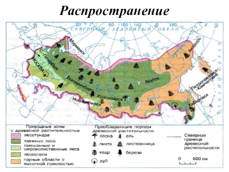 Какие природные зоны есть в евразии. Карта природных зон Евразии. Карта природных зон Евразии 4 класс. Природные зоны Евразии 4. Природные зоны Евразии 4 класс.