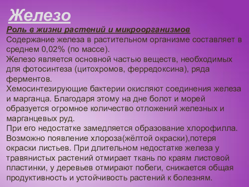 Действие железа. Железо в организме растений. Железо в жизни растений. Железо для растений. Роль железа в жизни.