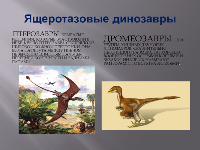 Сообщение о динозавре 1 класс