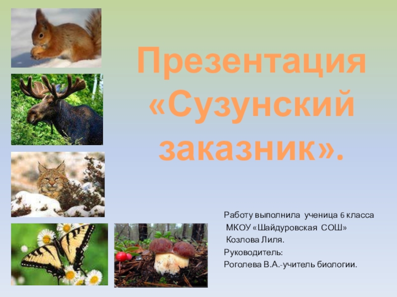 Презентация Презентация по экологии Сузунский заказник