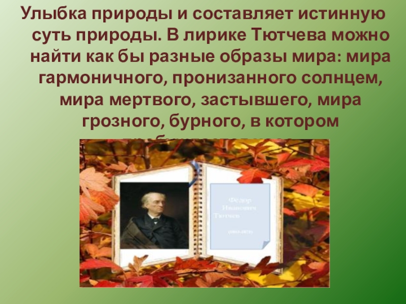 В чем особенность изображения тютчева природы