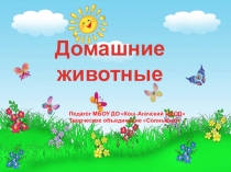 Презентация по окружающему миру на тему Домашние животные (дошкольники)