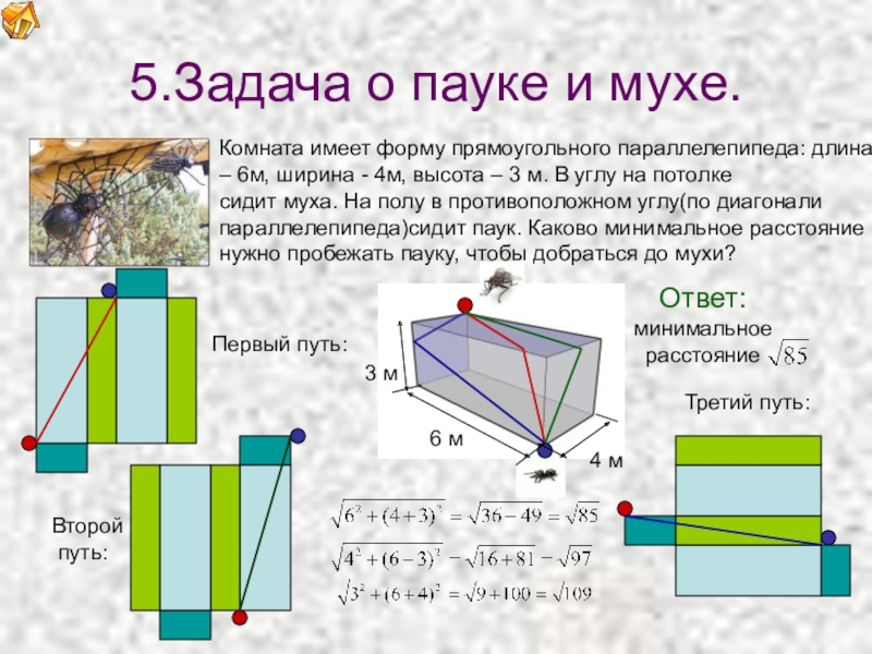 Пол комнаты имеющей форму прямоугольного. Задача о пауке и мухе. Задача про паука и муху. Задача о пауке и мухе развертка. Решение задачи про паука и муху.