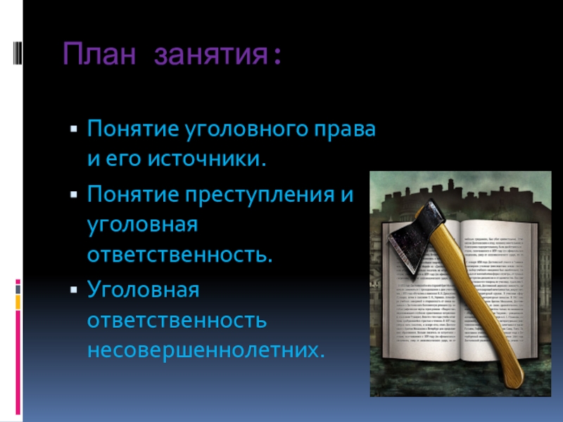 План по обществу уголовное право