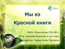 Презентация Мы из красной книги